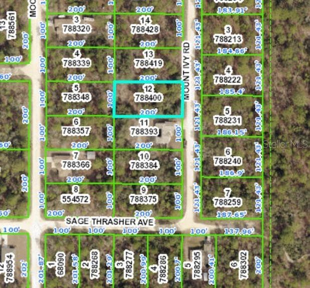 14499 MOUNT IVY ROAD WEEKI WACHEE, FL 34614