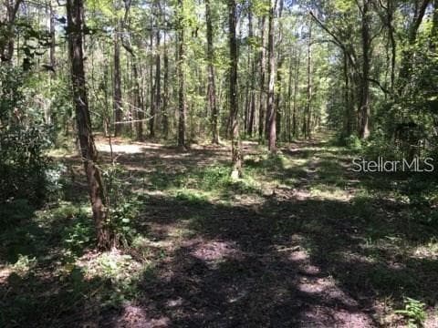 33809 SAINT JOE ROAD DADE CITY, FL 33525