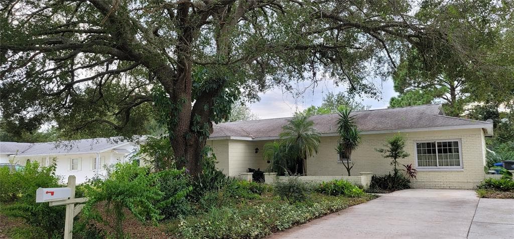 523 TERRACE DRIVE BRANDON, FL 33510