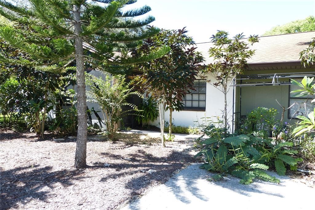 6 BAYOU LANE PALM HARBOR, FL 34683