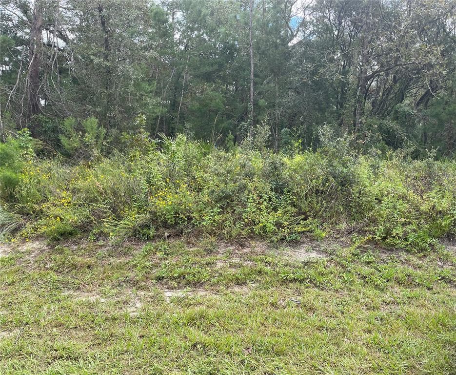 39 OAK VILLAGE BOULEVARD S HOMOSASSA, FL 34446