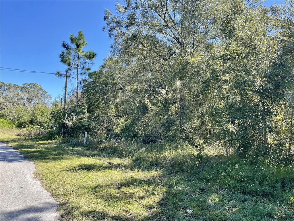 18936 DOVE ROAD LAND O LAKES, FL 34638