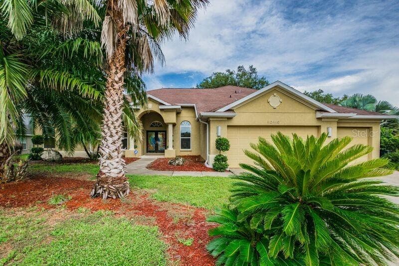 10116 PADDOCK OAKS DRIVE RIVERVIEW, FL 33569