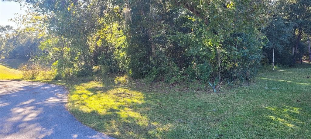 00 SW 96TH PLACE DUNNELLON, FL 34432