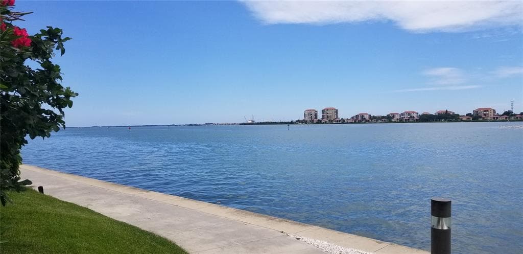 5220 BRITTANY DRIVE S UNIT 903 ST PETERSBURG, FL 33715