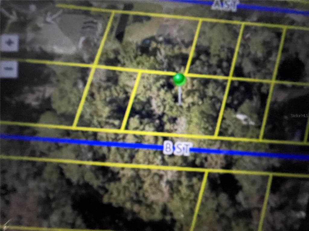 266 B STREET BROOKSVILLE, FL 34601
