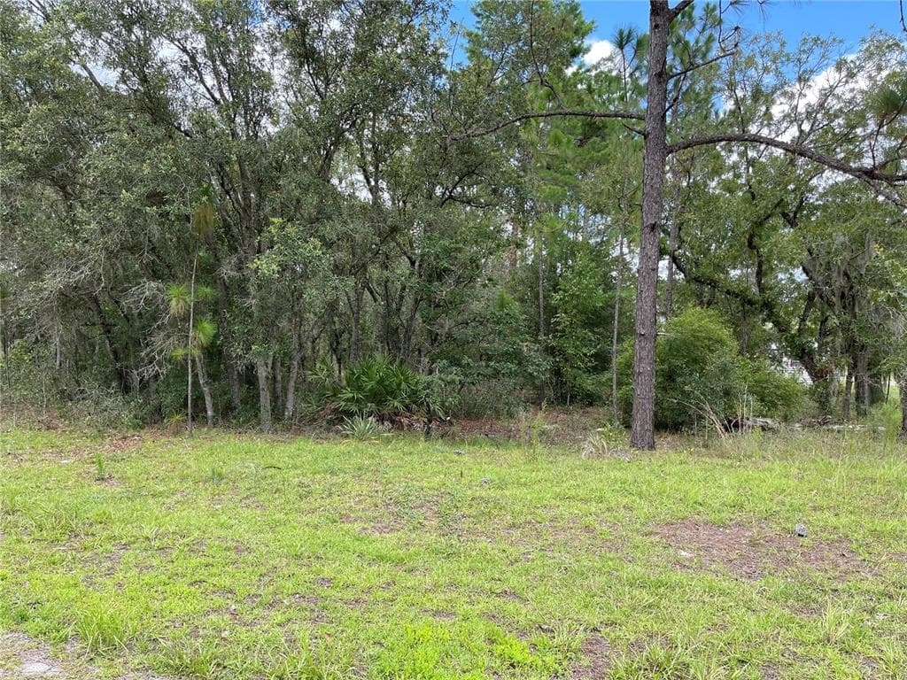 11081 N SONNET TERRACE CITRUS SPRINGS, FL 34433