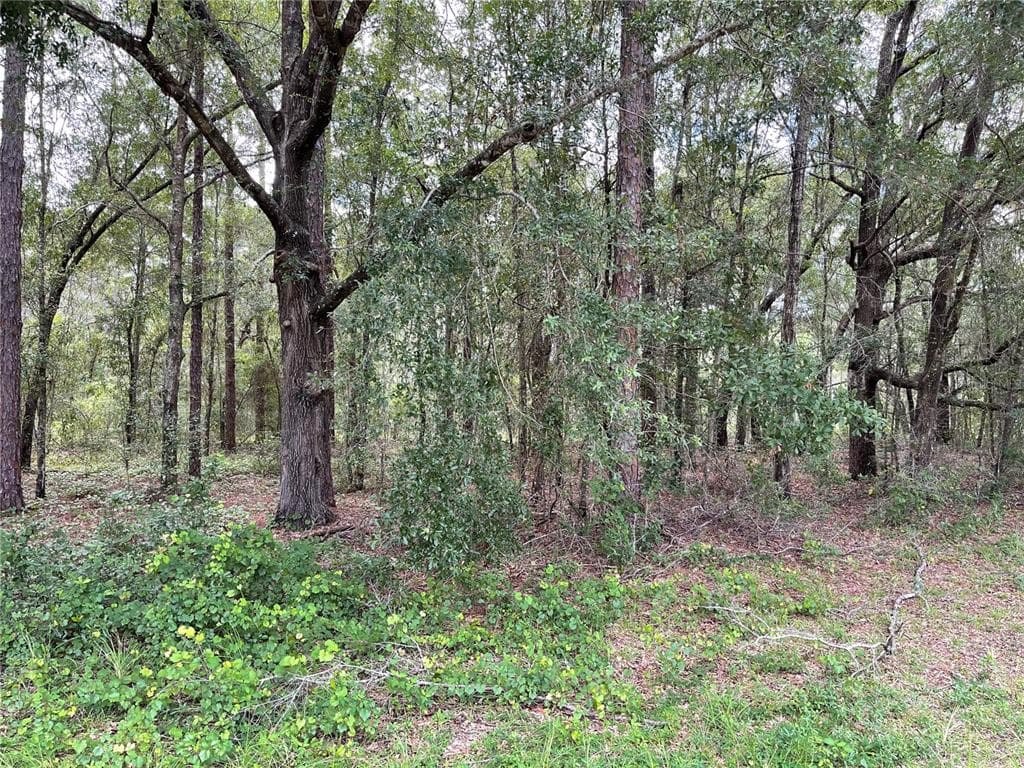 10418 N SHERMAN DRIVE CITRUS SPRINGS, FL 34434