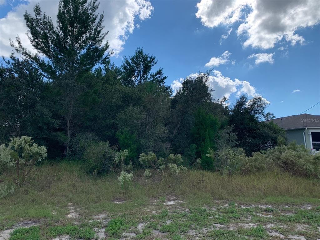 10110 LANGAN STREET SPRING HILL, FL 34608