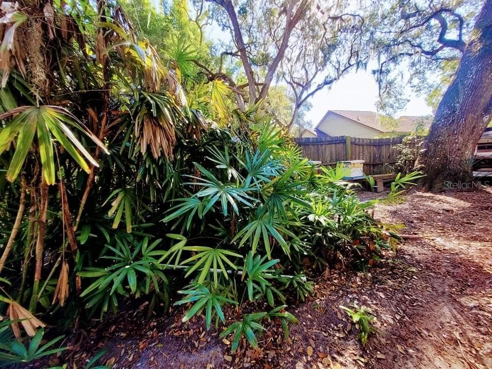 7109 N 18TH STREET TAMPA, FL 33610