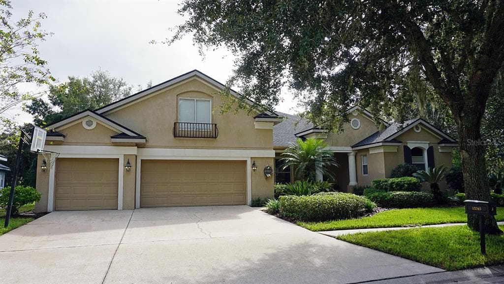 15703 IBISRIDGE DRIVE LITHIA, FL 33547