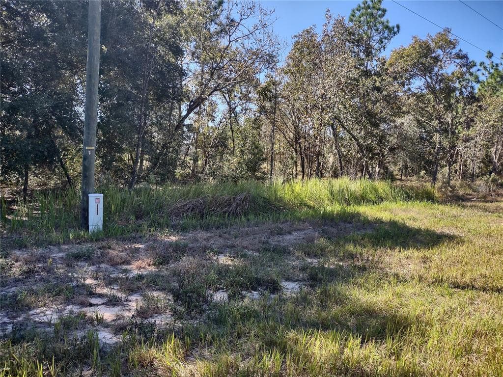 LOCUST ROAD OCALA, FL 34472