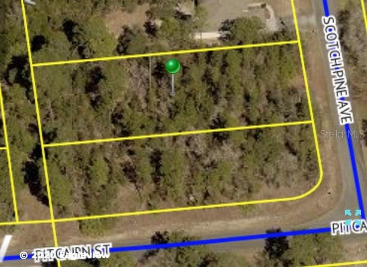 8273 SCOTCH PINE AVENUE BROOKSVILLE, FL 34613