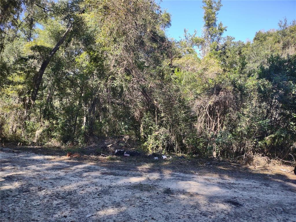 SE 132ND PL BELLEVIEW, FL 34420