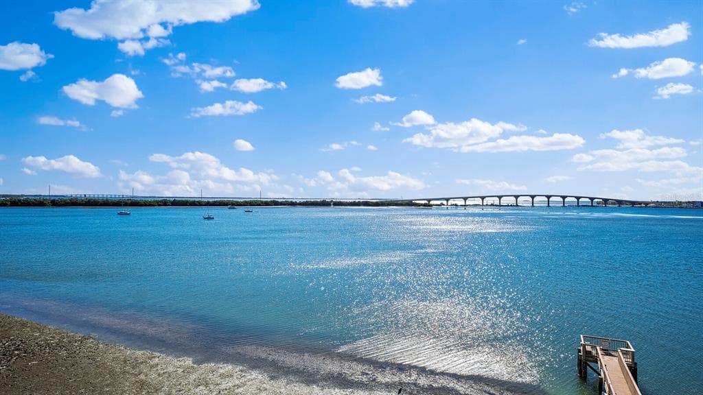 6287 BAHIA DEL MAR CIRCLE UNIT 407 ST PETERSBURG, FL 33715