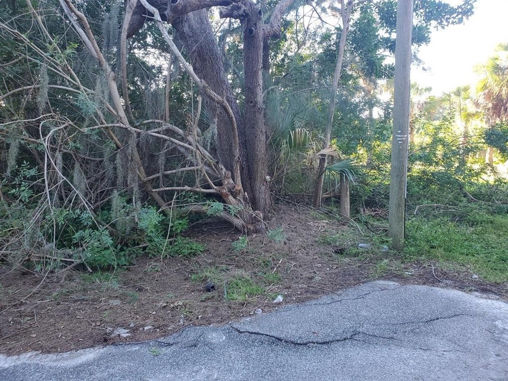 0 TREASURE DRIVE NEW PORT RICHEY, FL 34652