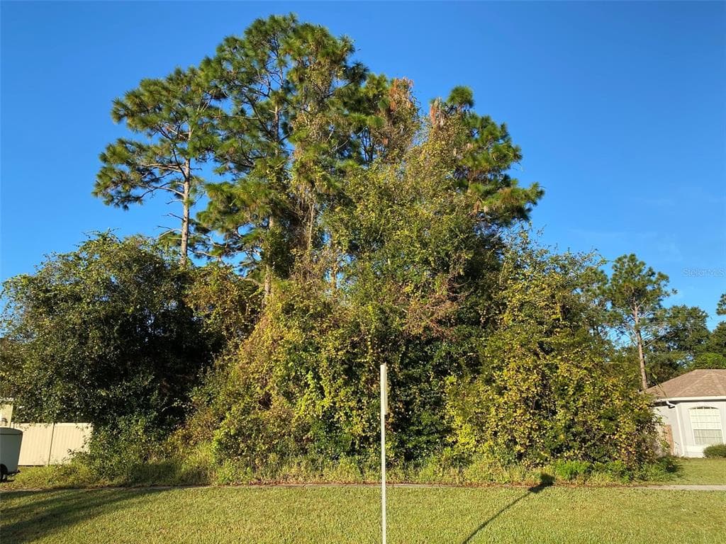 2136 BANCROFT BOULEVARD ORLANDO, FL 32833