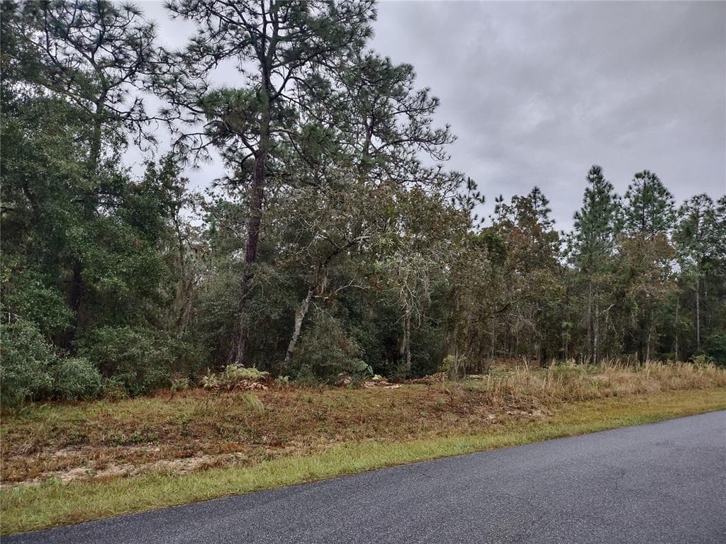 LOCUST PASS OCALA, FL 34472