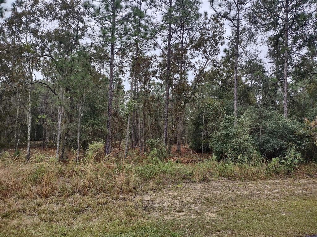 LOCUST LANE OCALA, FL 34472