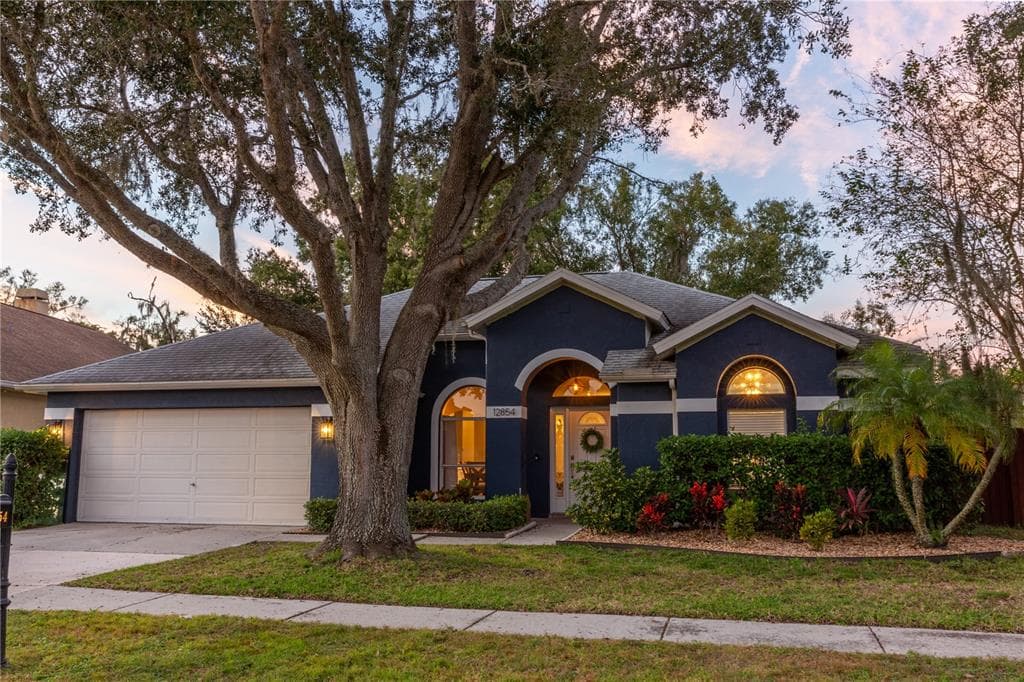 12854 BIG SUR DRIVE TAMPA, FL 33625