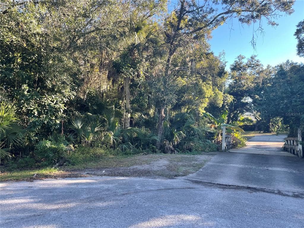 MUELLER S LANE SAFETY HARBOR, FL 34695
