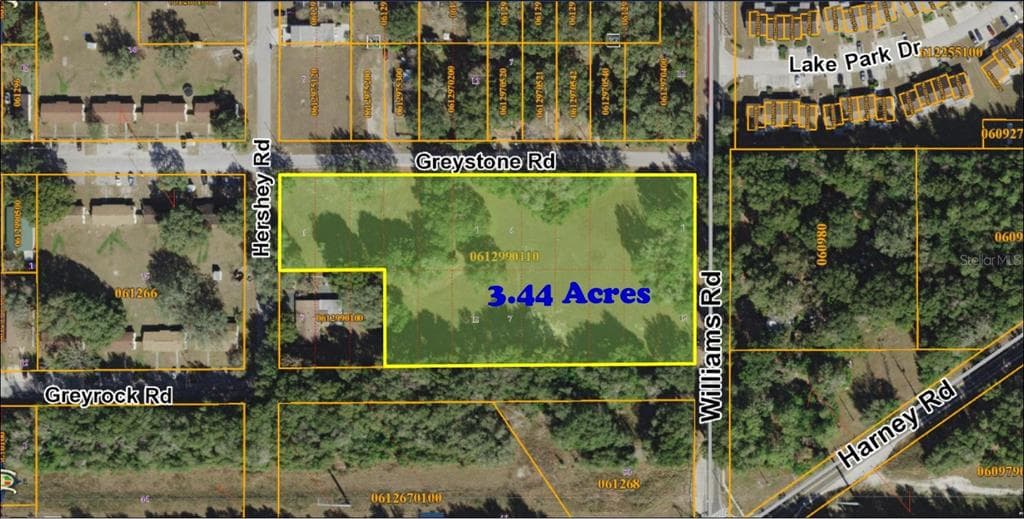 0 WILLIAMS ROAD THONOTOSASSA, FL 33592