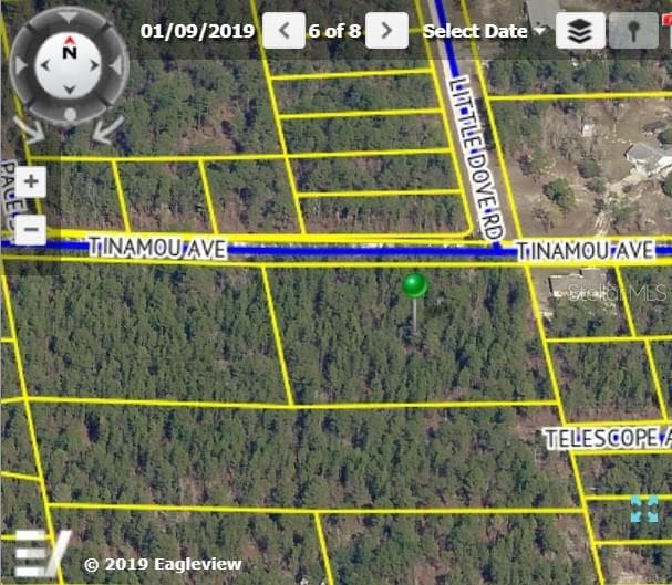 TINAMOU AVENUE WEEKI WACHEE, FL 34614