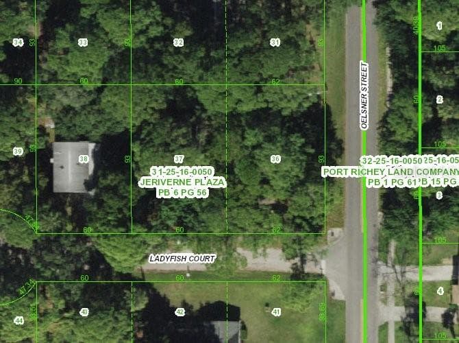 4947 LADYFISH COURT NEW PORT RICHEY, FL 34652