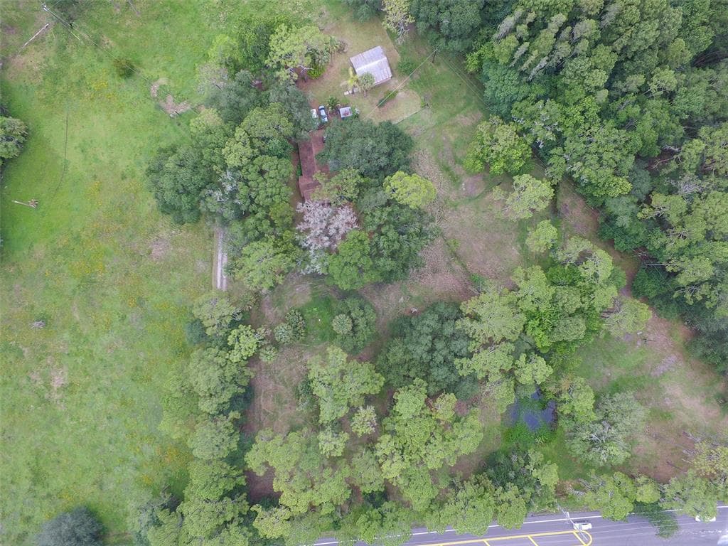 15275 MORRIS BRIDGE ROAD