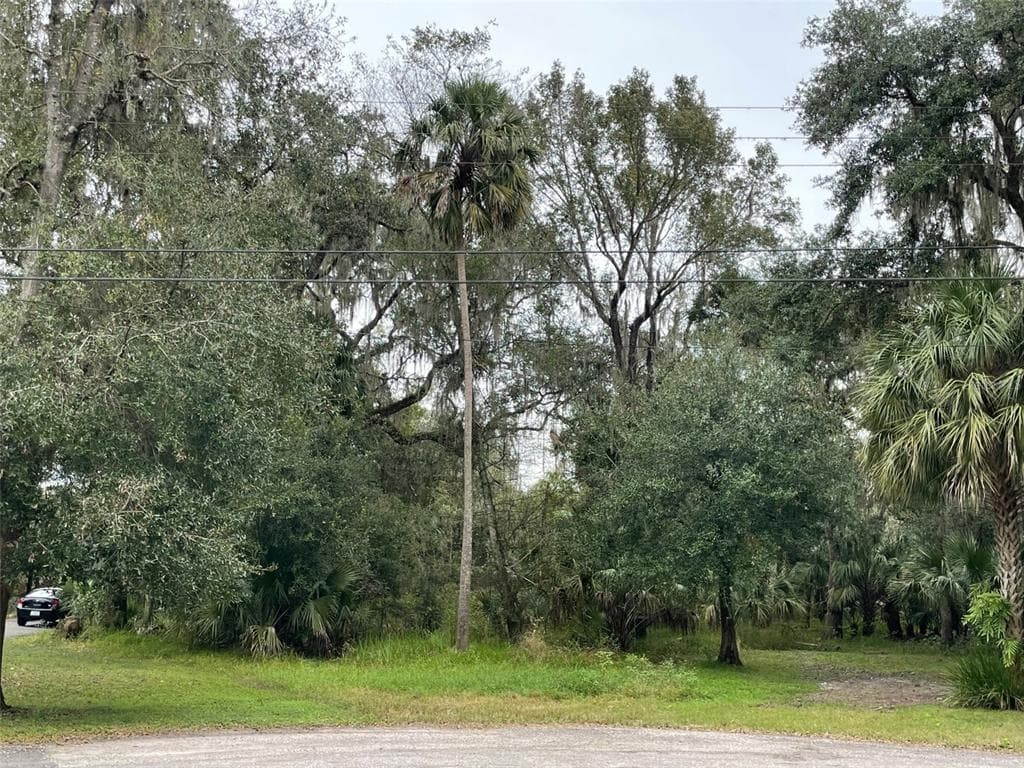 4507 SQUIRREL RUN WAY VALRICO, FL 33596