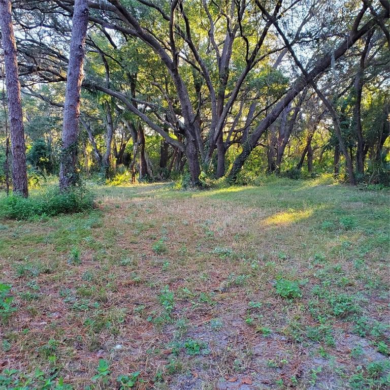 0 WOLFORD ROAD CLEARWATER, FL 33760