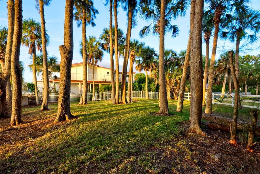 3439 PANDORA DRIVE WEEKI WACHEE, FL 34607