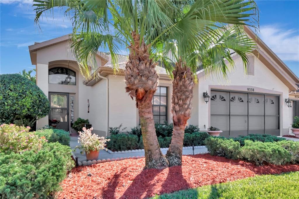 9338 PALM HAVEN COURT NEW PORT RICHEY, FL 34655