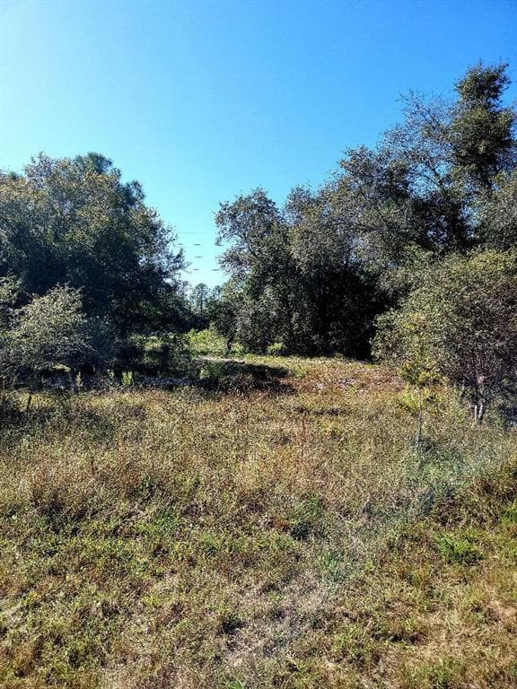 1034 MEADOW ROAD LEHIGH ACRES, FL 33973