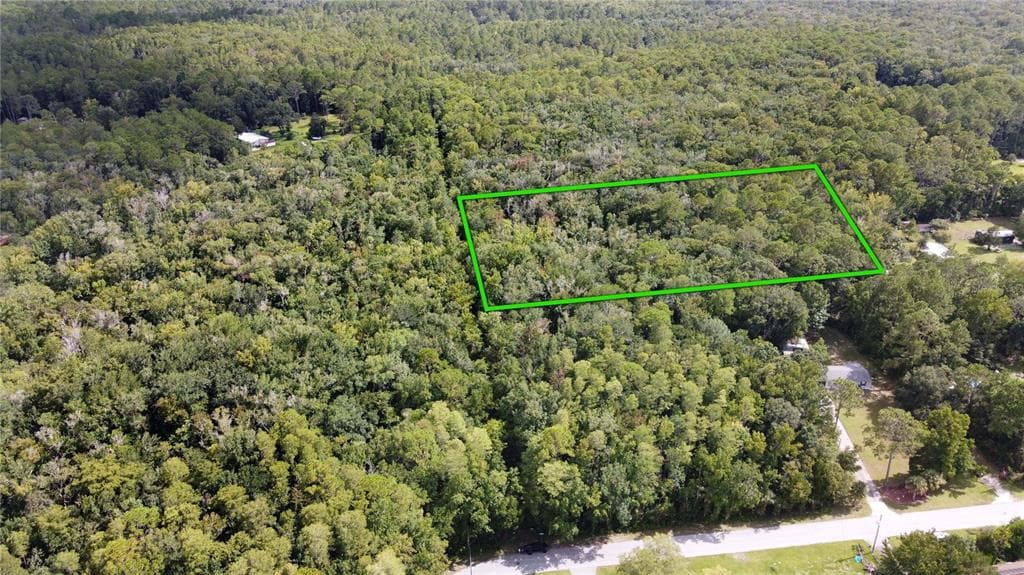 10580 S HALO POINT HOMOSASSA, FL 34448