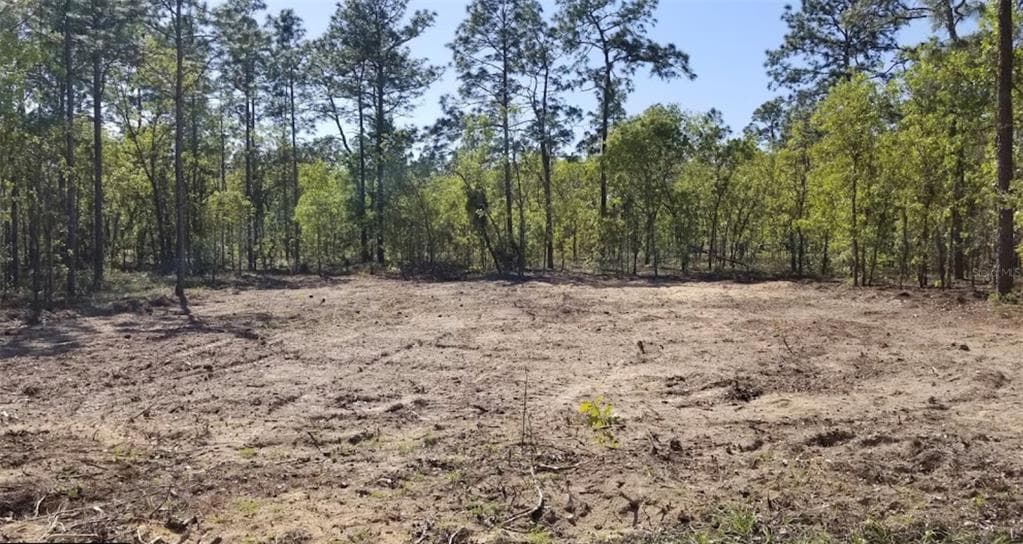 0000 SE 148TH TERR WILLISTON, FL 32696