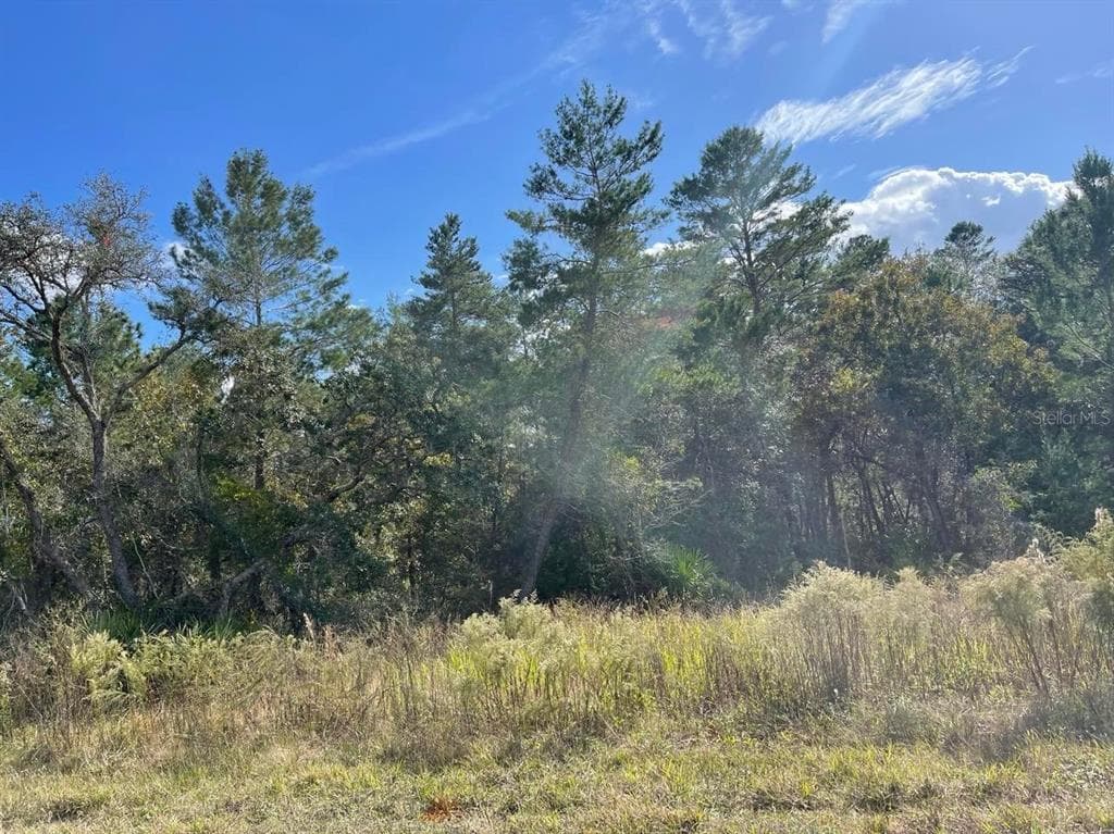 11000 EIDER AVENUE WEEKI WACHEE, FL 34613