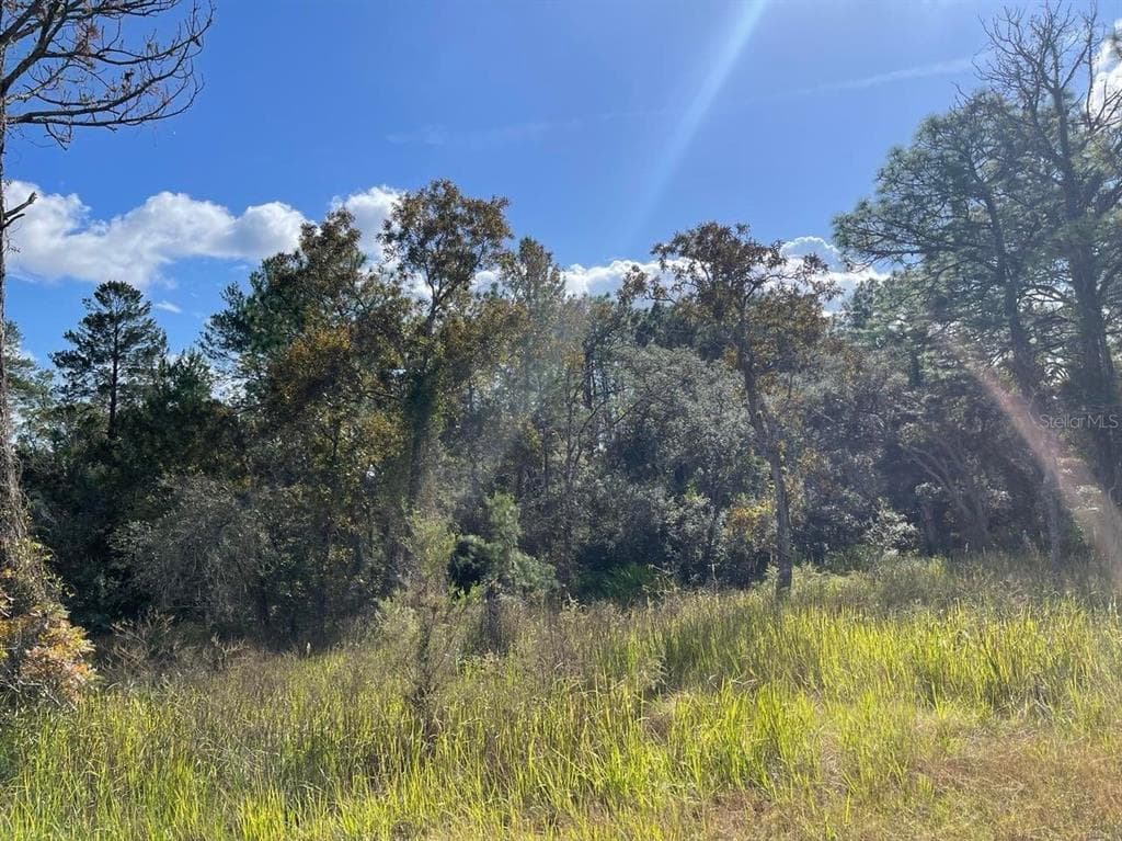 10498 EIDER AVENUE WEEKI WACHEE, FL 34613