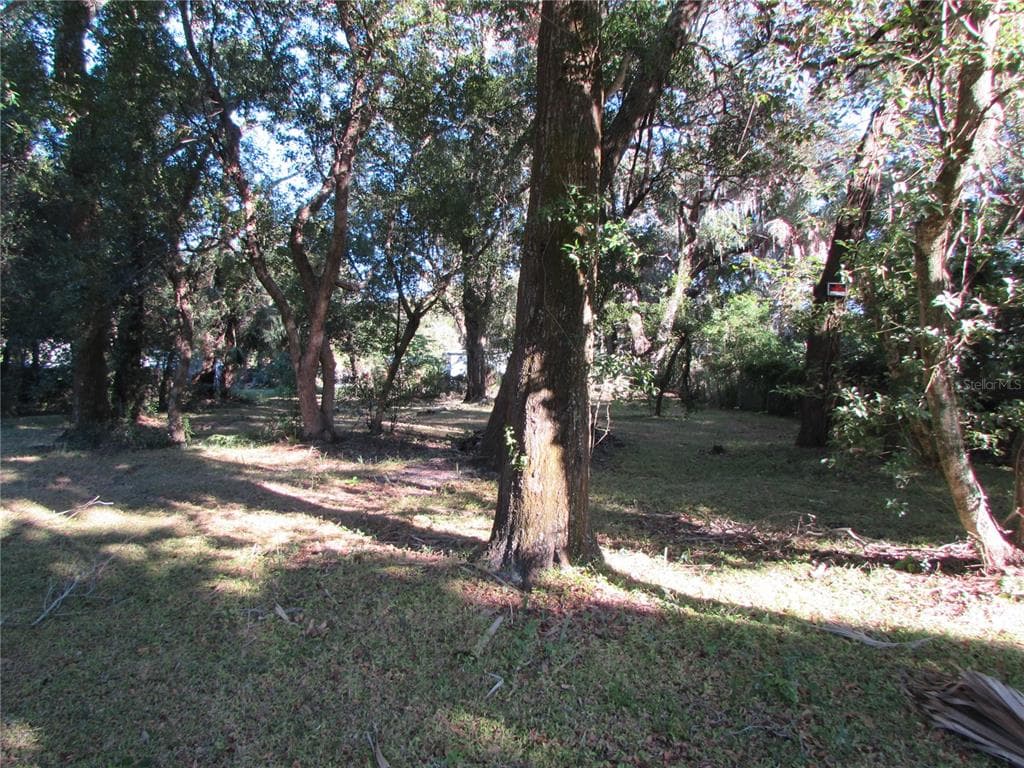 SAFFORD AVENUE TARPON SPRINGS, FL 34689
