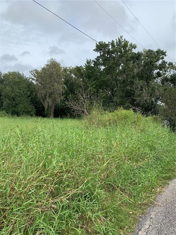 909 GRANDADDY LANE LUTZ, FL 33548