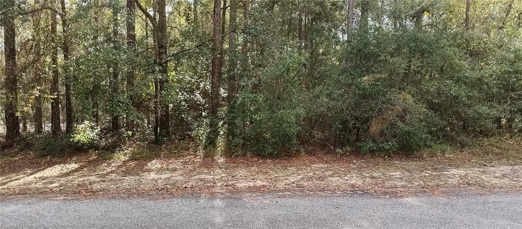 9300 SW 210TH CIRCLE DUNNELLON, FL 34431