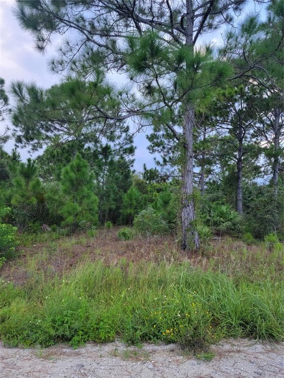 2990 FLAGSTAFF AVENUE SE PALM BAY, FL 32909