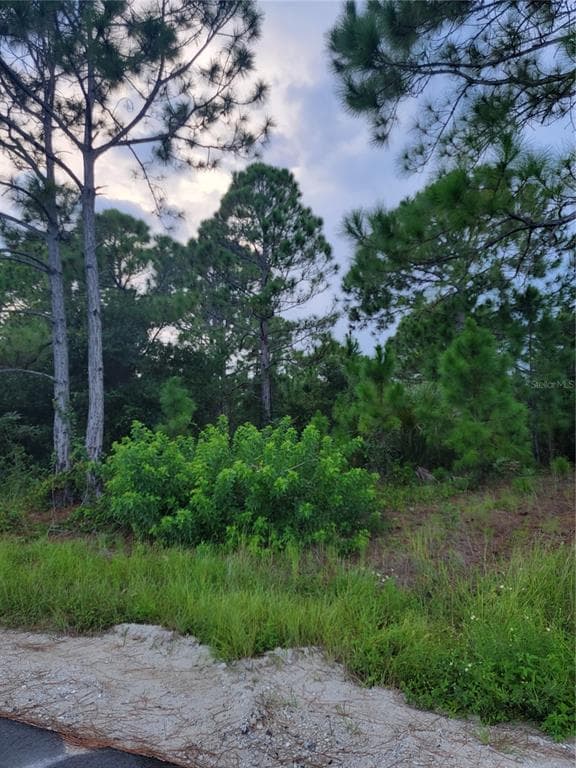 2998 FLAGSTAFF AVENUE SE PALM BAY, FL 32909