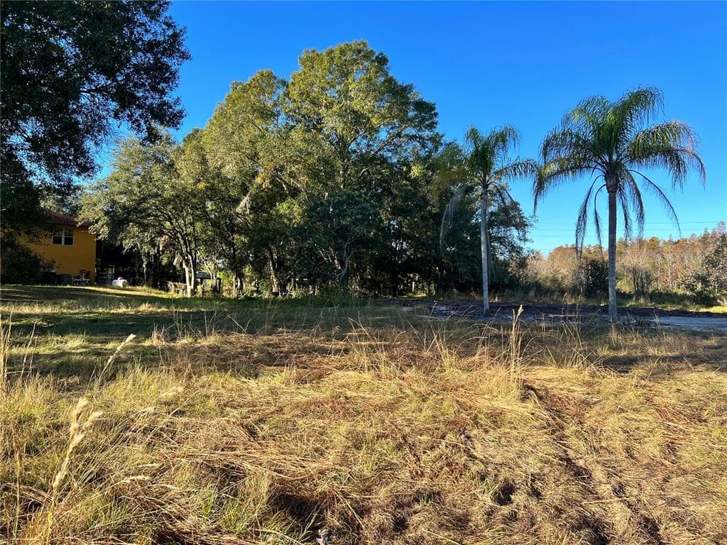 2323 BROOKSIDE DRIVE LUTZ, FL 33558
