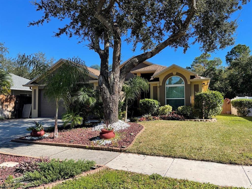 8553 MANASSAS ROAD TAMPA, FL 33635