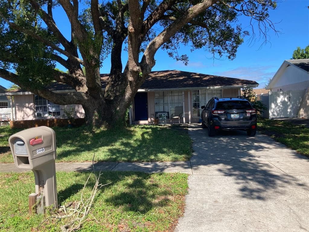 8223 DRYCREEK DRIVE TAMPA, FL 33615