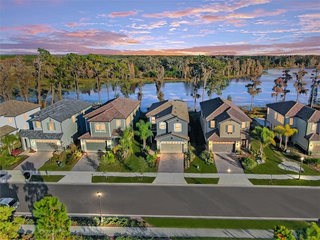 19617 ROSEATE DRIVE LUTZ, FL 33558