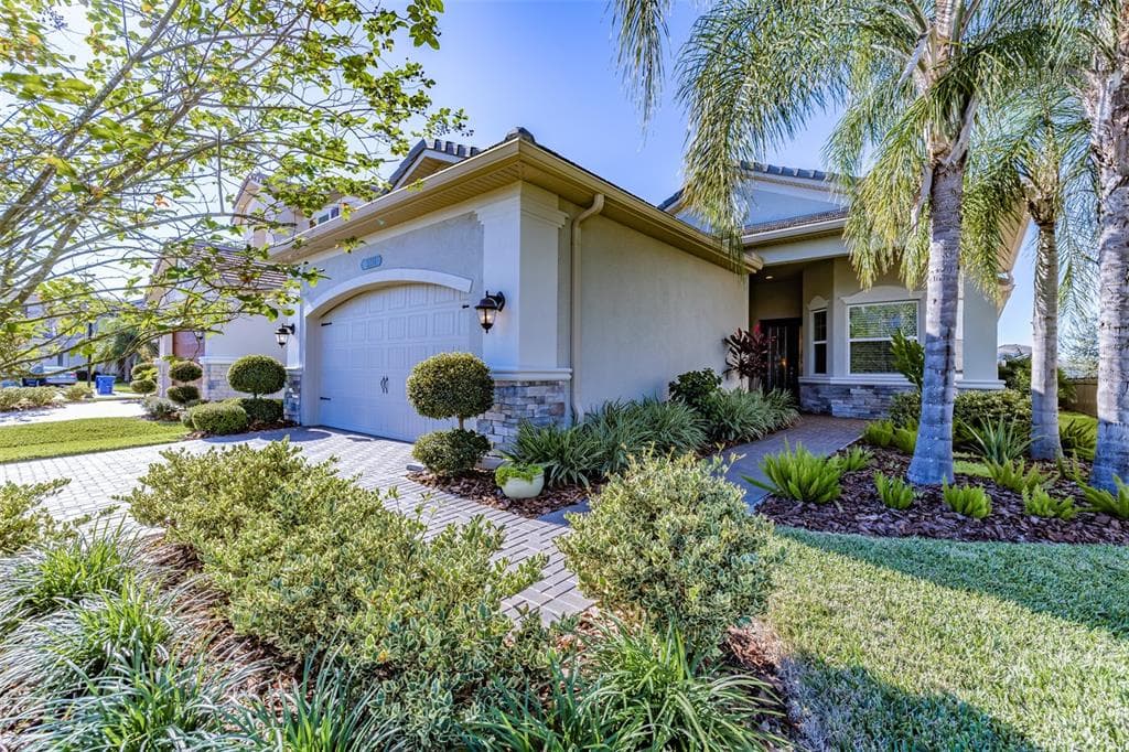 31174 LINDENTREE DRIVE WESLEY CHAPEL, FL 33543