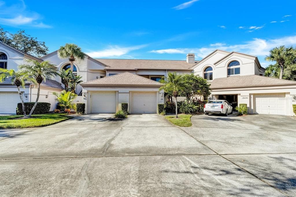 3636 OAK HAVEN DRIVE UNIT 202 PALM HARBOR, FL 34684