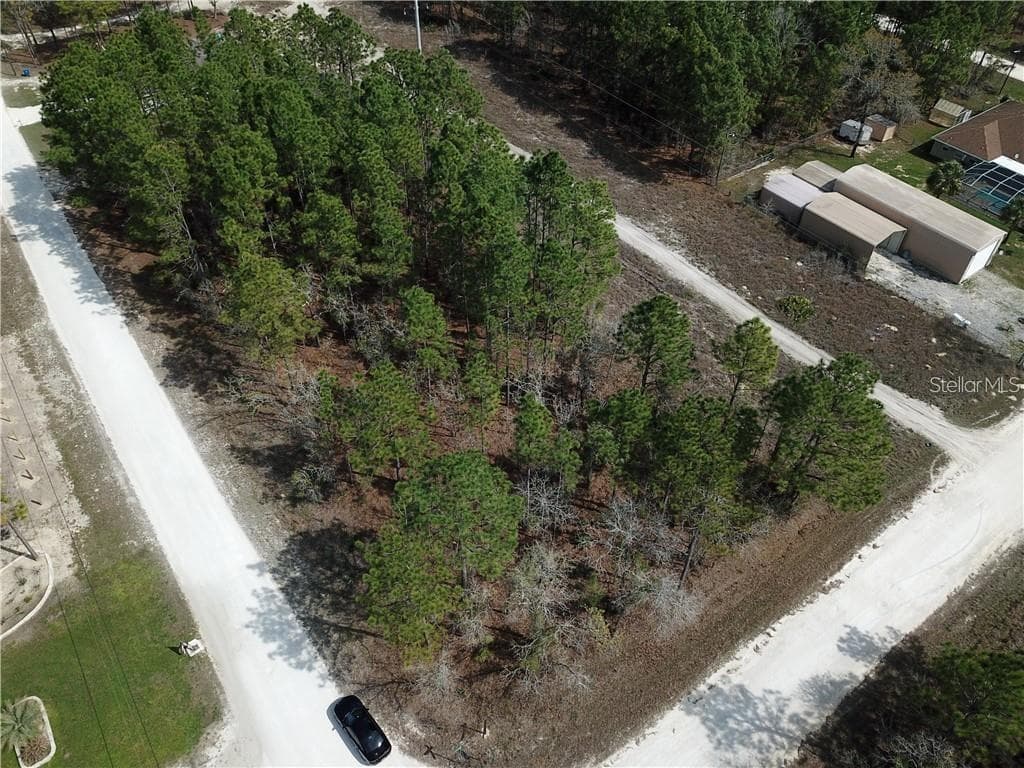 15466 SCAUP DUCK AVENUE WEEKI WACHEE, FL 34614